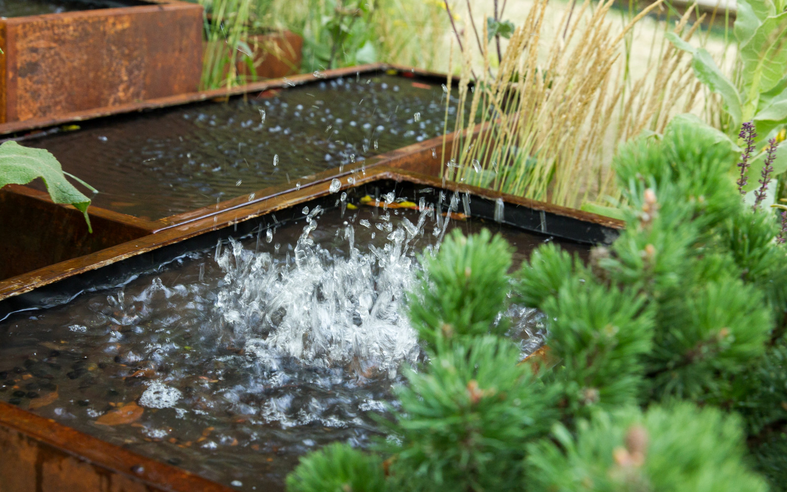 Сад   James Alexander-Sinclair  на Moscow Flower Show 2018  (вне  конкрса)