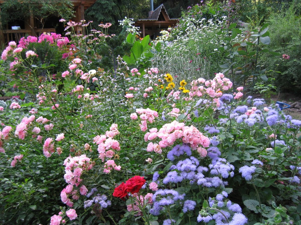 Наши статьи: "Сад пяти чувств". Фото 9