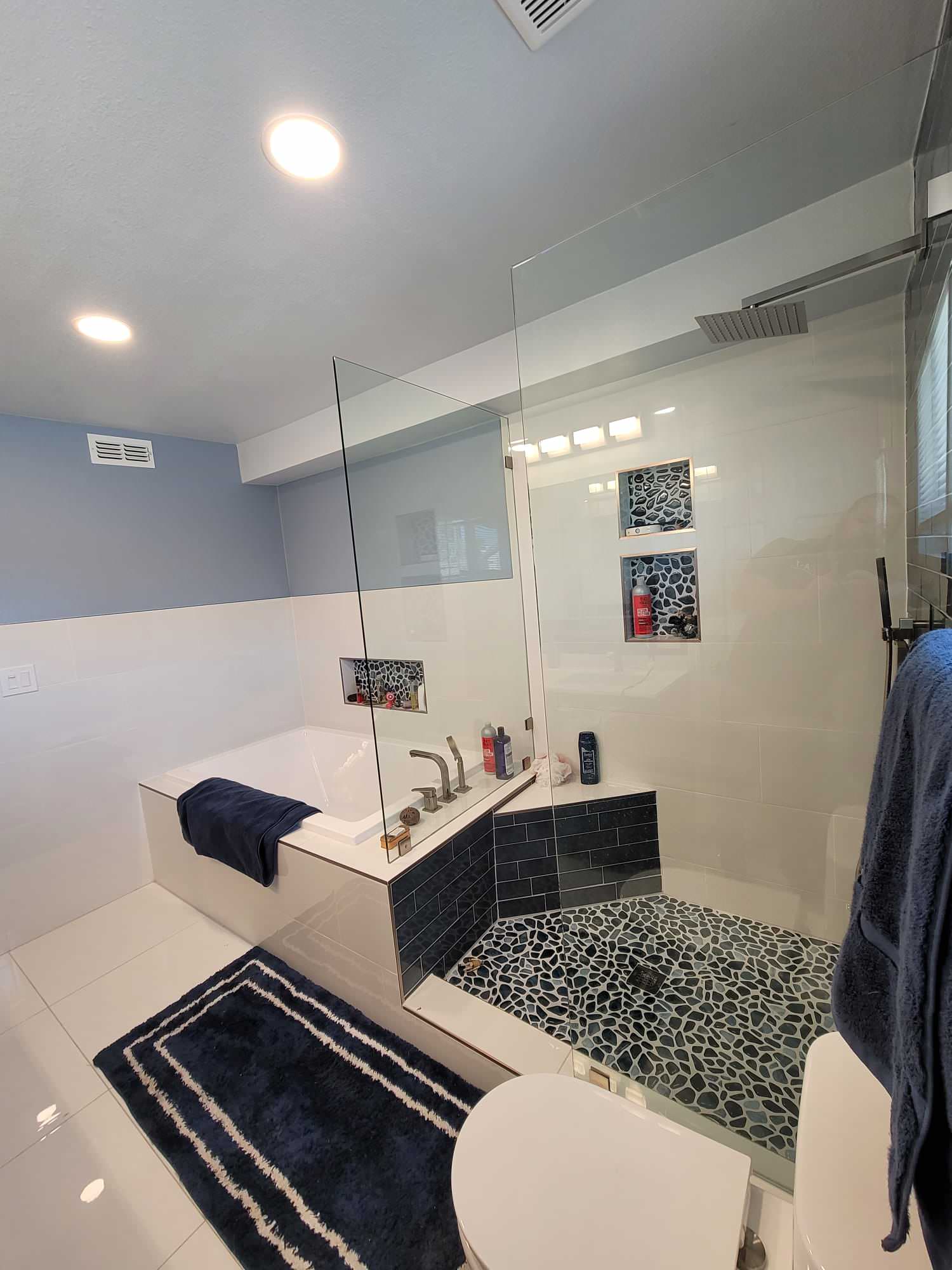 Dark Blue Bathroom - Toilet View - Las Vegas