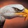 Last commented by Marion Latham