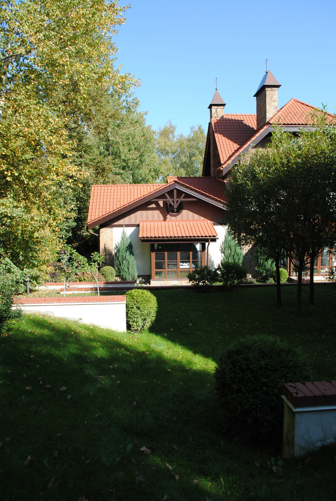 Осенний лес.Дмитровское шоссе