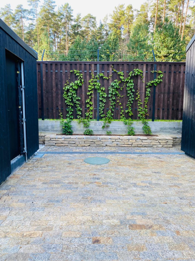 Золотой карп