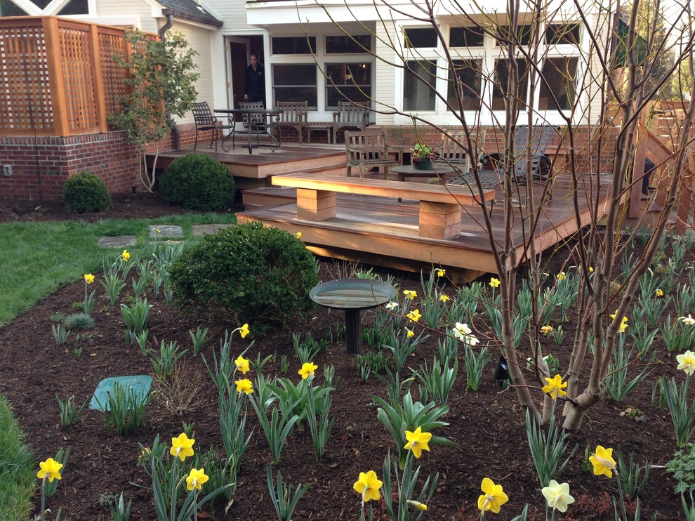 Contemporary Play, Chevy Chase