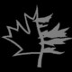 Marshall Black Carpentry Inc