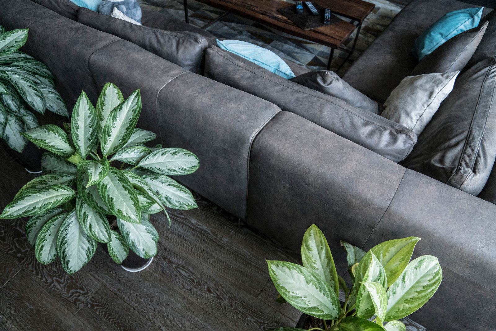 Брутальный минимализм