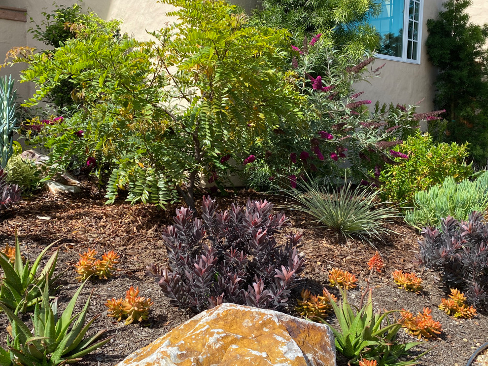 Modelo de jardín de secano mediterráneo pequeño en patio delantero con exposición parcial al sol y gravilla