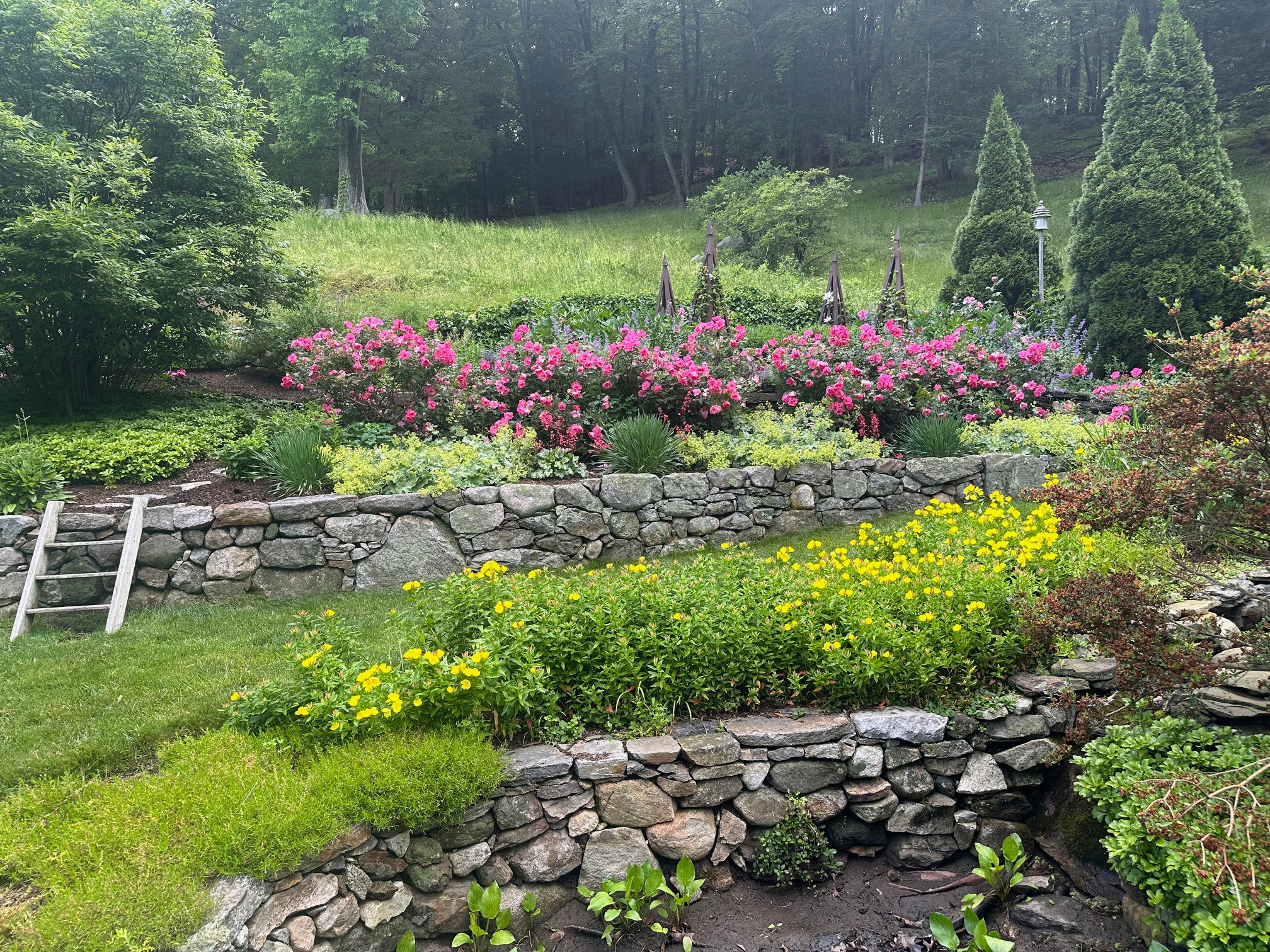 Perennial Garden In  Bloom in Ridgefield maintained by Peter Atkins and Associates