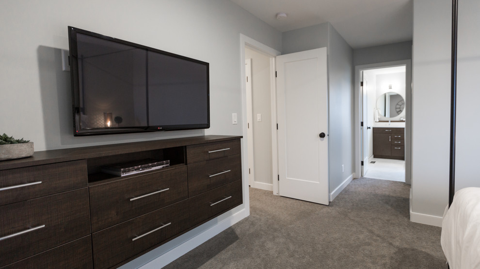 This is an example of a small contemporary master bedroom in Other with grey walls and carpet.