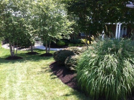 This is an example of a mid-sized transitional full sun front yard landscaping for spring.