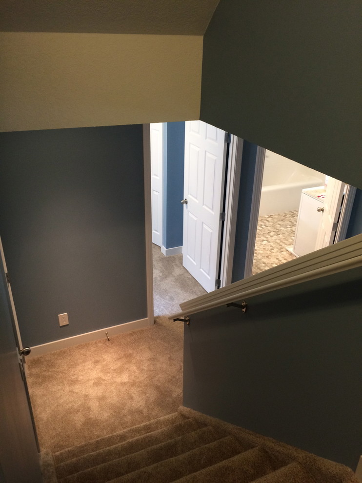 Mid-sized transitional carpeted l-shaped staircase photo in Calgary with carpeted risers