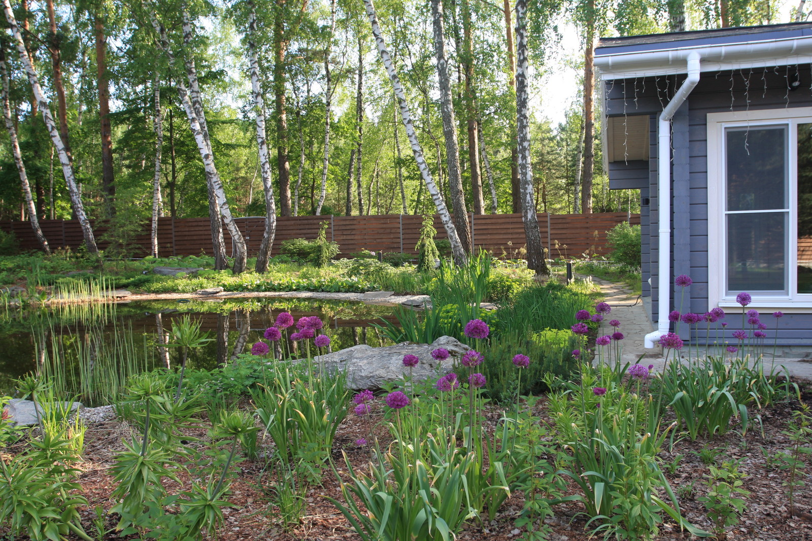 Озеро в лесу. Посёлок Приволье.