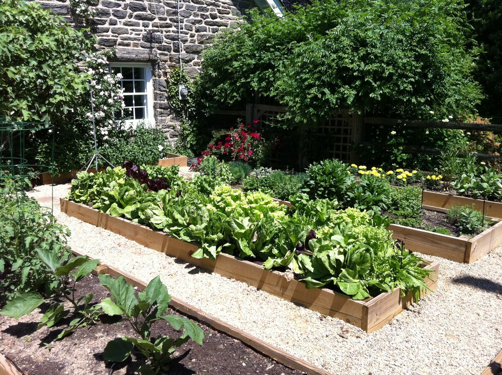 Design ideas for a traditional garden in Philadelphia with a vegetable garden.