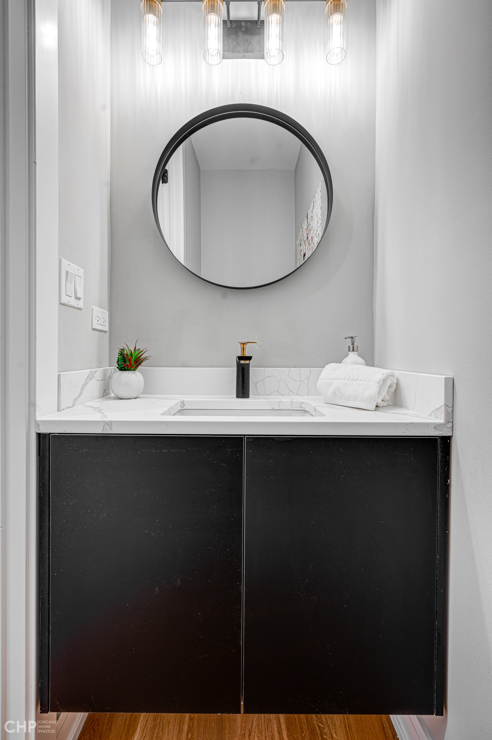 2448 W Diversey - New Construction Development