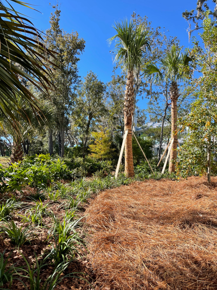 Landscape Design & Construction | Crane Island - Fernandina Beach