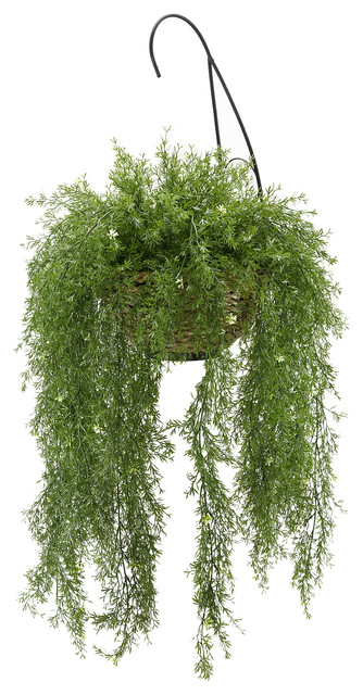 Faux Asparagus Fern Hanging Basket - Tropical - Artificial Plants And Trees  - by House of Silk Flowers, Inc | Houzz