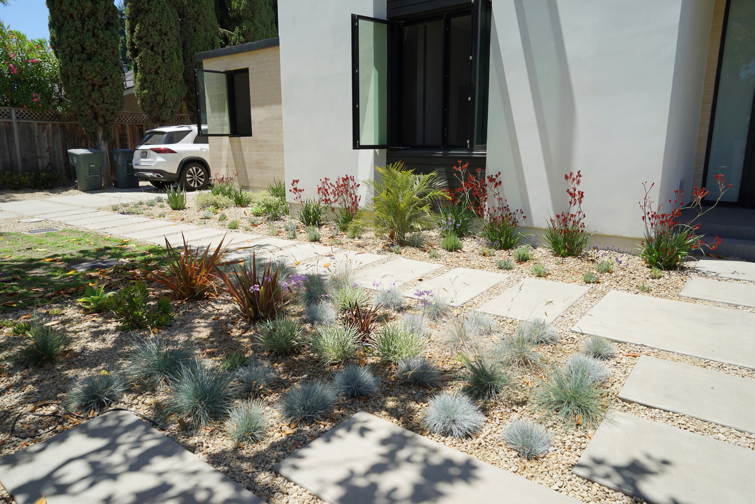 Palo Alto Mediterranean Landscape