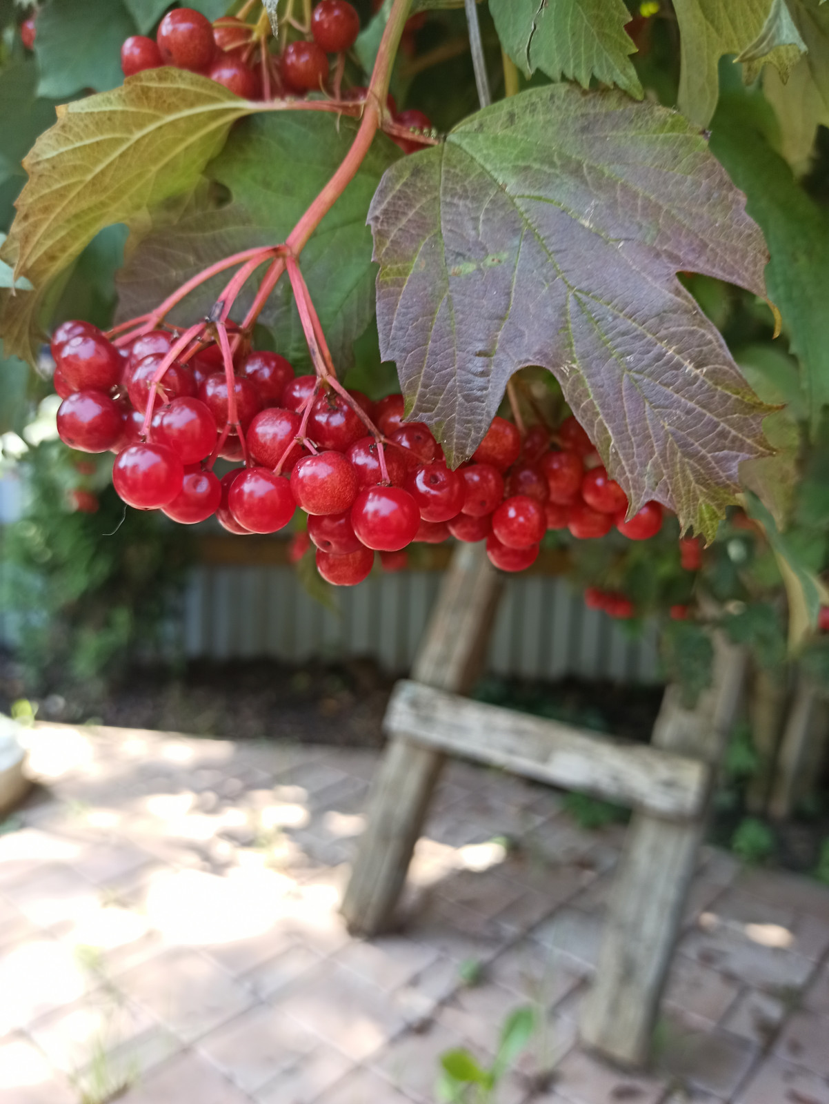 Ландшафт сада в 6 соток.