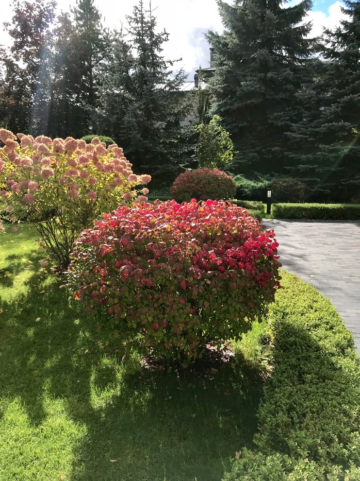 Зелёный лес