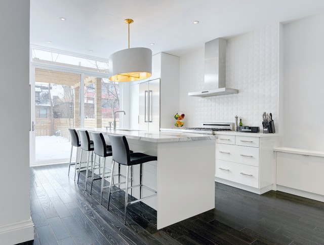 My Houzz: Modern Annex Renovation - Contemporary - Kitchen - Toronto