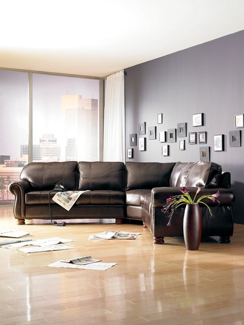 Transitional Living Rooms klassisch-modern-wohnbereich