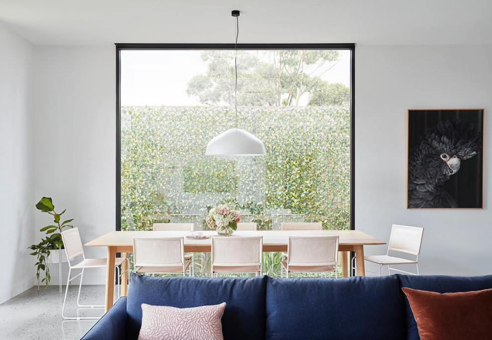 Design ideas for a modern dining room in Melbourne with white walls, concrete floors and grey floor.