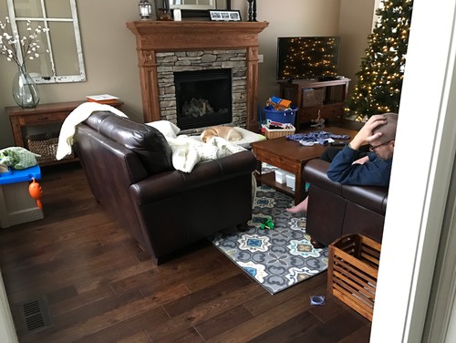  Help  me  decorate  my  house  excuse mess 