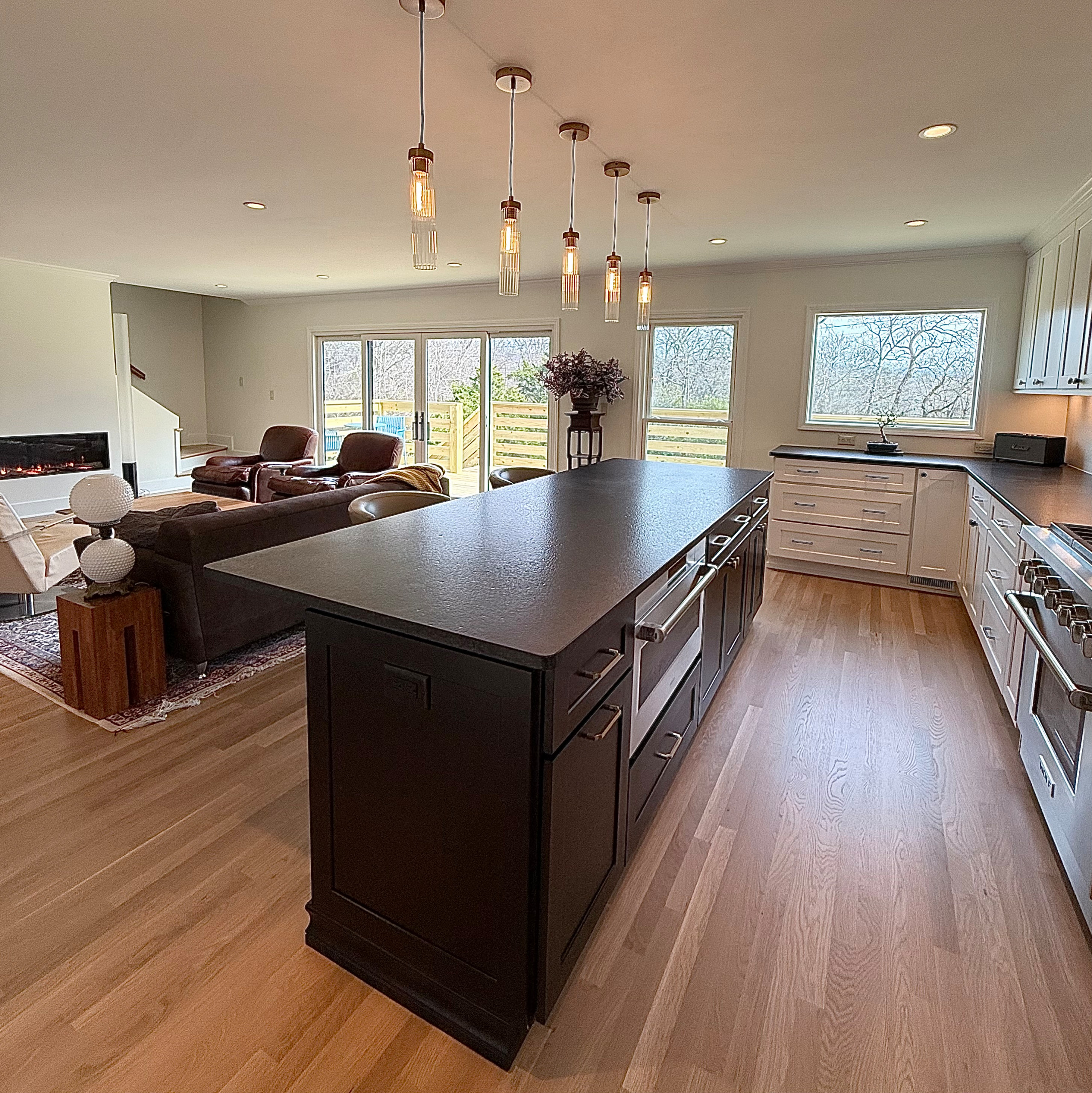 Franklin Complete Kitchen and LR Reno