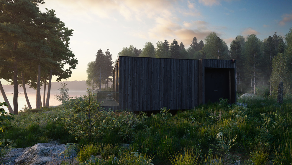 Визуализация дома в Карелии для архитектора Майи Баклан