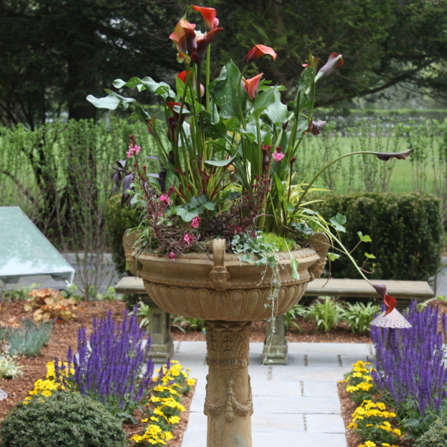 Landscape Design contemporary-garden