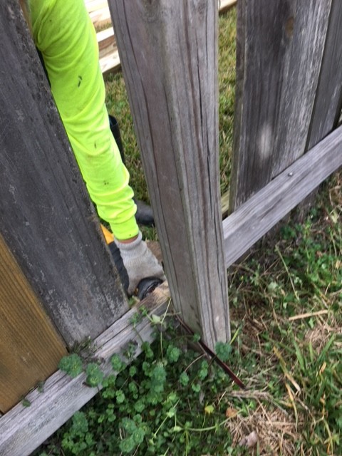 Fence (Wood) Repairs