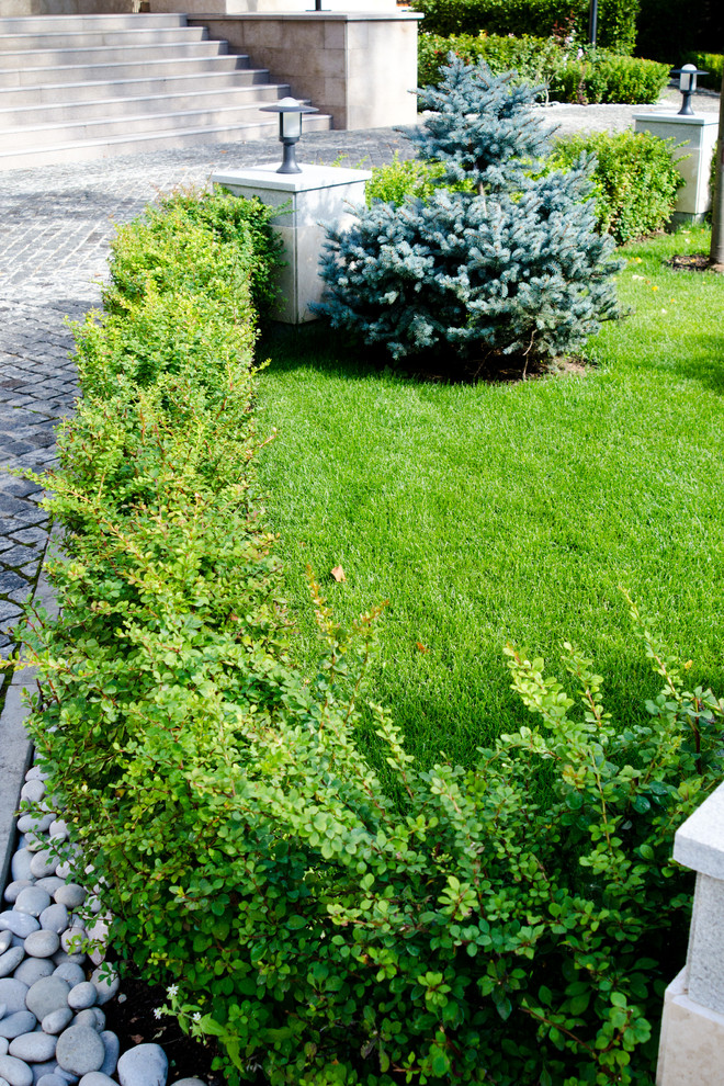 Глянцевый лес