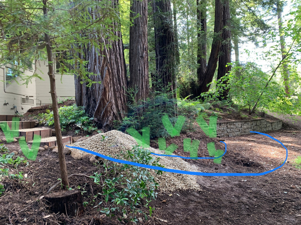 Santa Cruz Mountain Elevation
