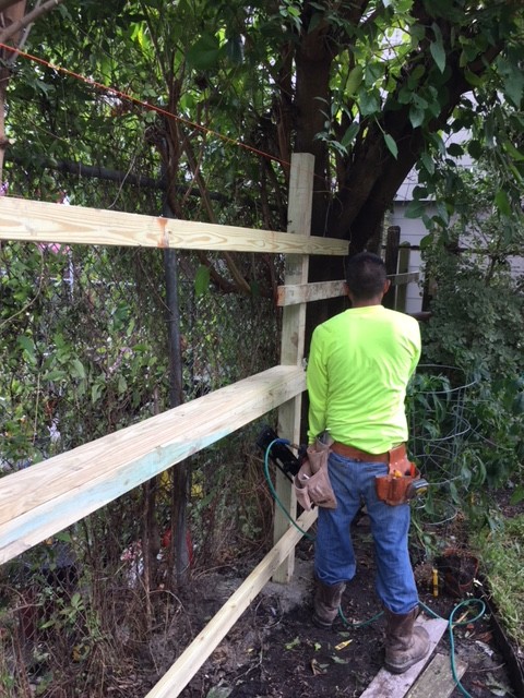 550' Perimeter Cedar Fence Replacement