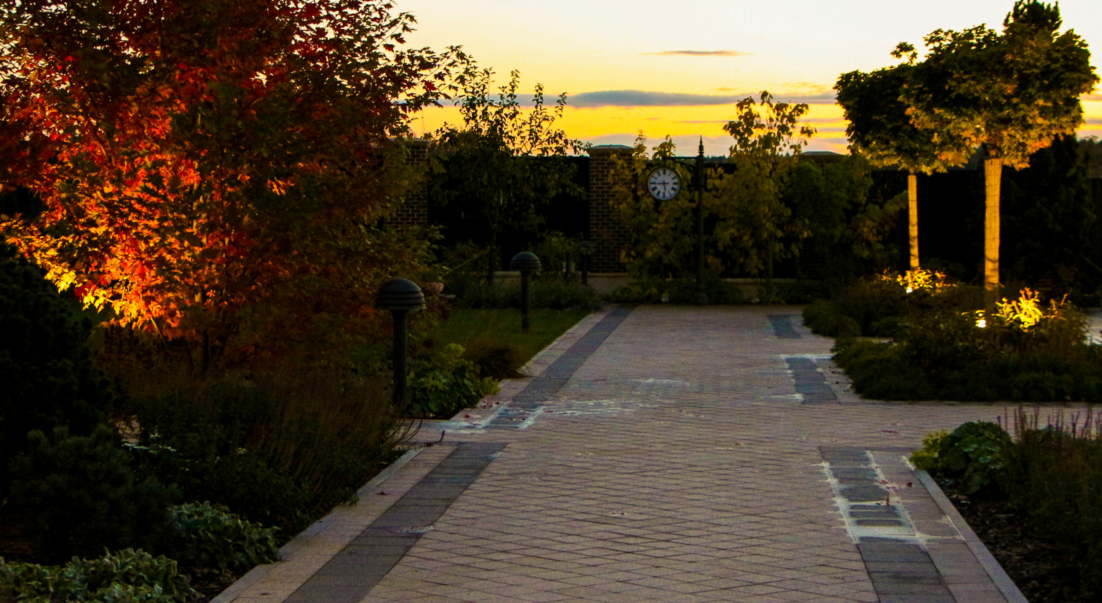 Горки-10, ночной сад, 2017-2020 гг.