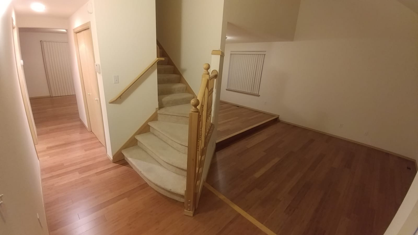Bamboo for a Rental