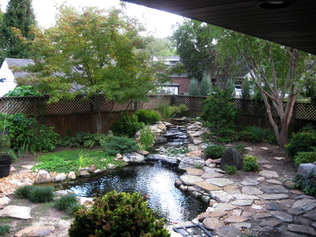 This is an example of a modern garden in St Louis.
