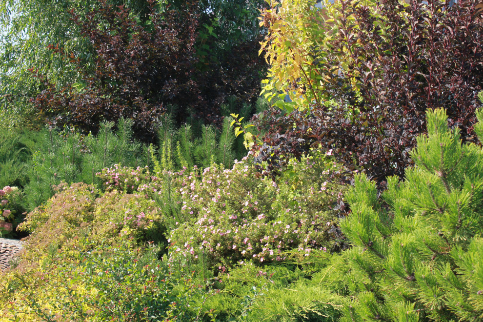 В гостях у Сказки