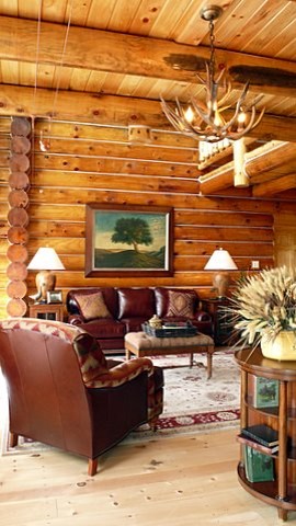 Home design - rustic home design idea