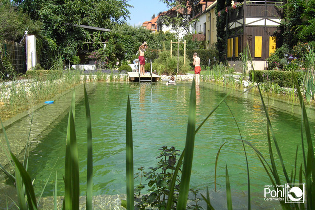 Schwimmteich trendy-pool