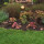 Loughridge Landscape Design