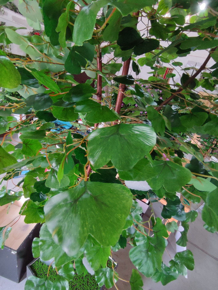 Дерево Гинко для LOGO