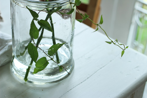 夏の切り花を長く楽しむ方法 Houzz ハウズ