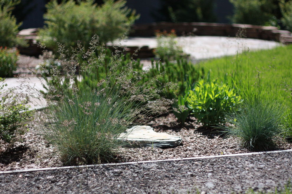 Сад Кандинский