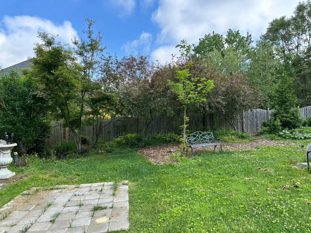 Before backyard corner 