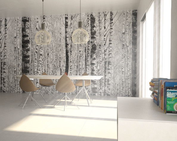 Design ideas for a dining room in Berlin.