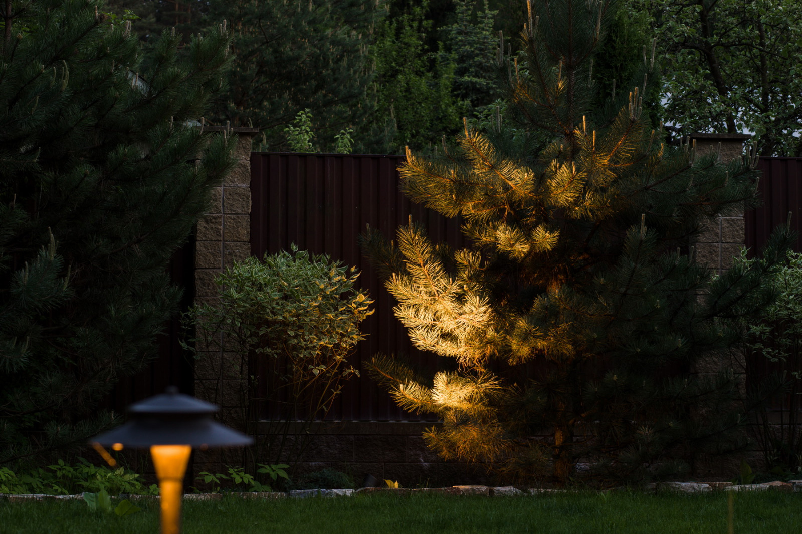 Подсветка елки