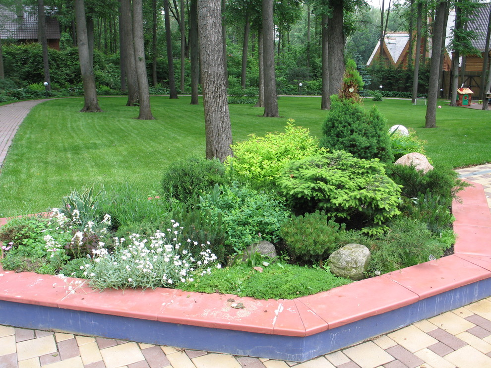 Хвойный модуль