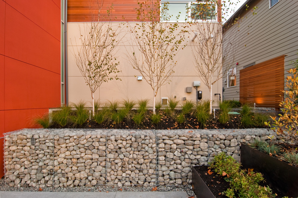 This is an example of a contemporary courtyard garden in Seattle.