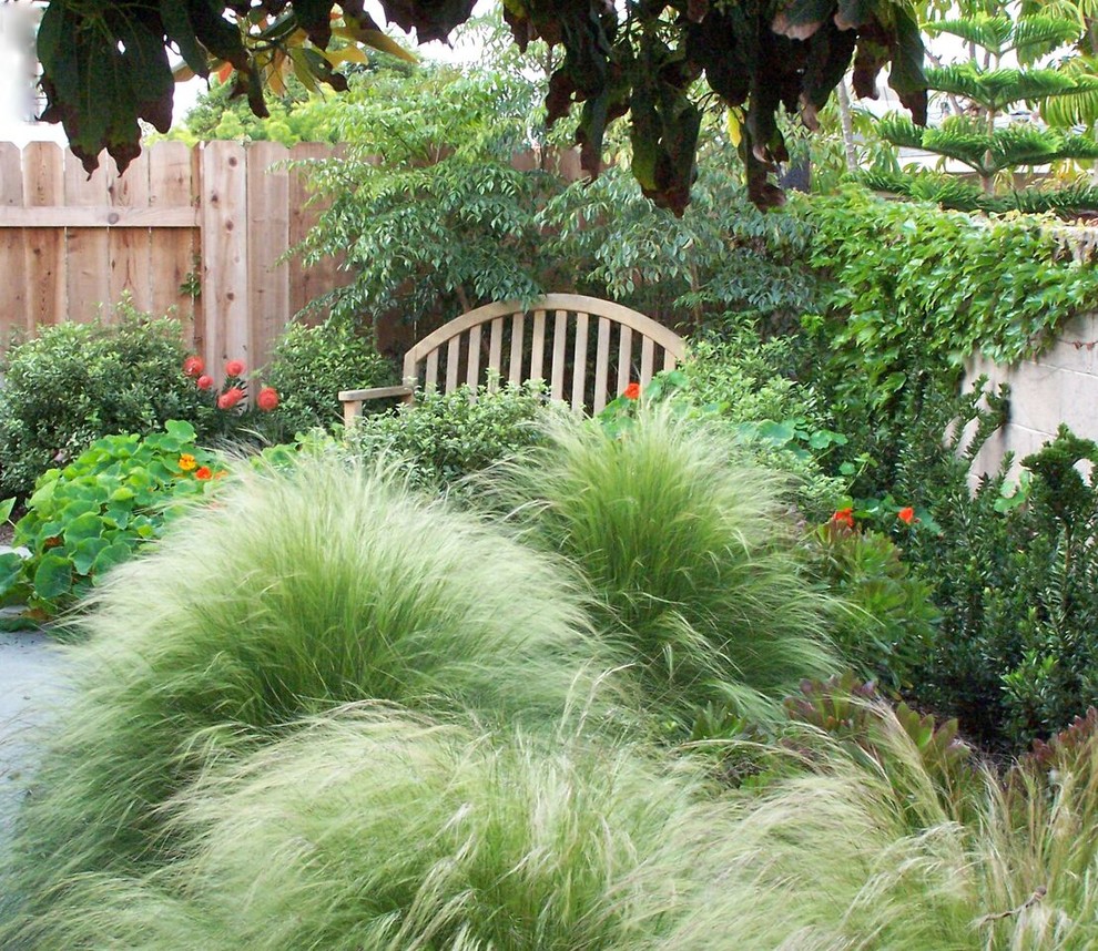 This is an example of a transitional landscaping in Orange County.