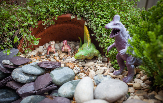 Mini Dinosaur Garden 